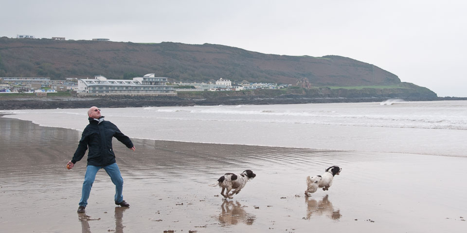 20111114WestwardHo-Spaniels0005.jpg