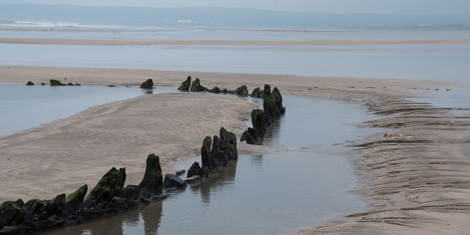 20111114WestwardHo-Spaniels0007.jpg