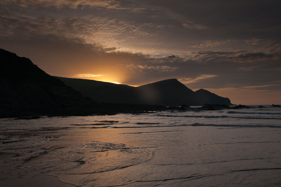 20111114WestwardHo-Spaniels0021-Edit.jpg