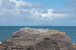 20130818Hartland-Quay0015.jpg