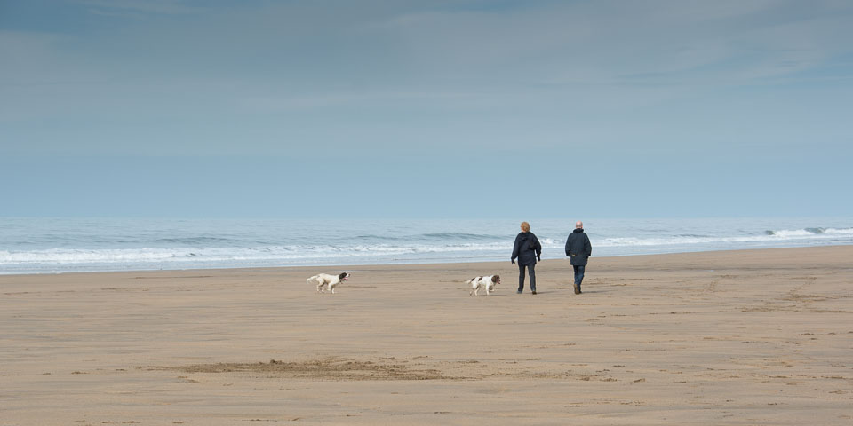 20140317SpanielsinDevon0074.jpg