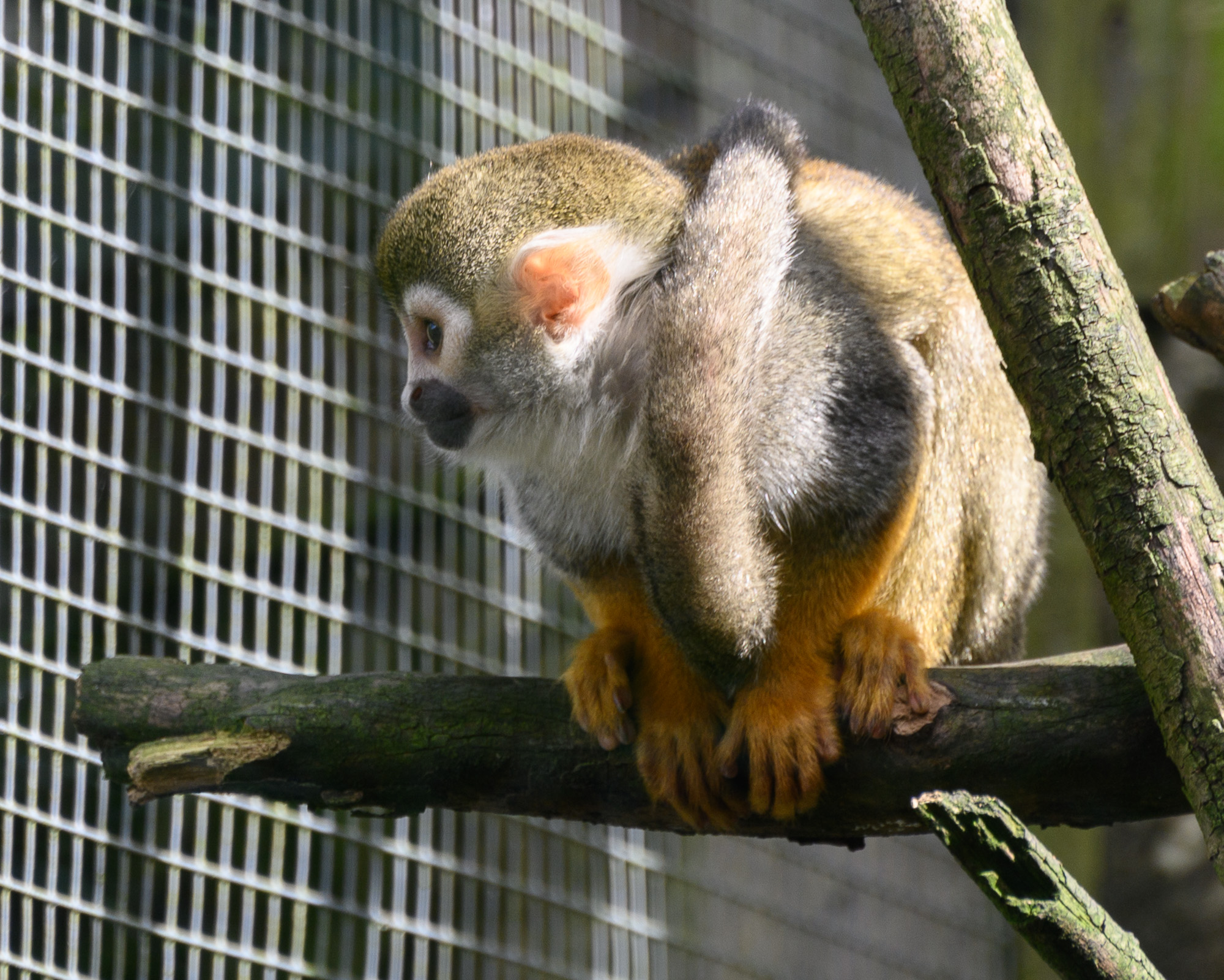20240912ExmoorZoo0006.jpg