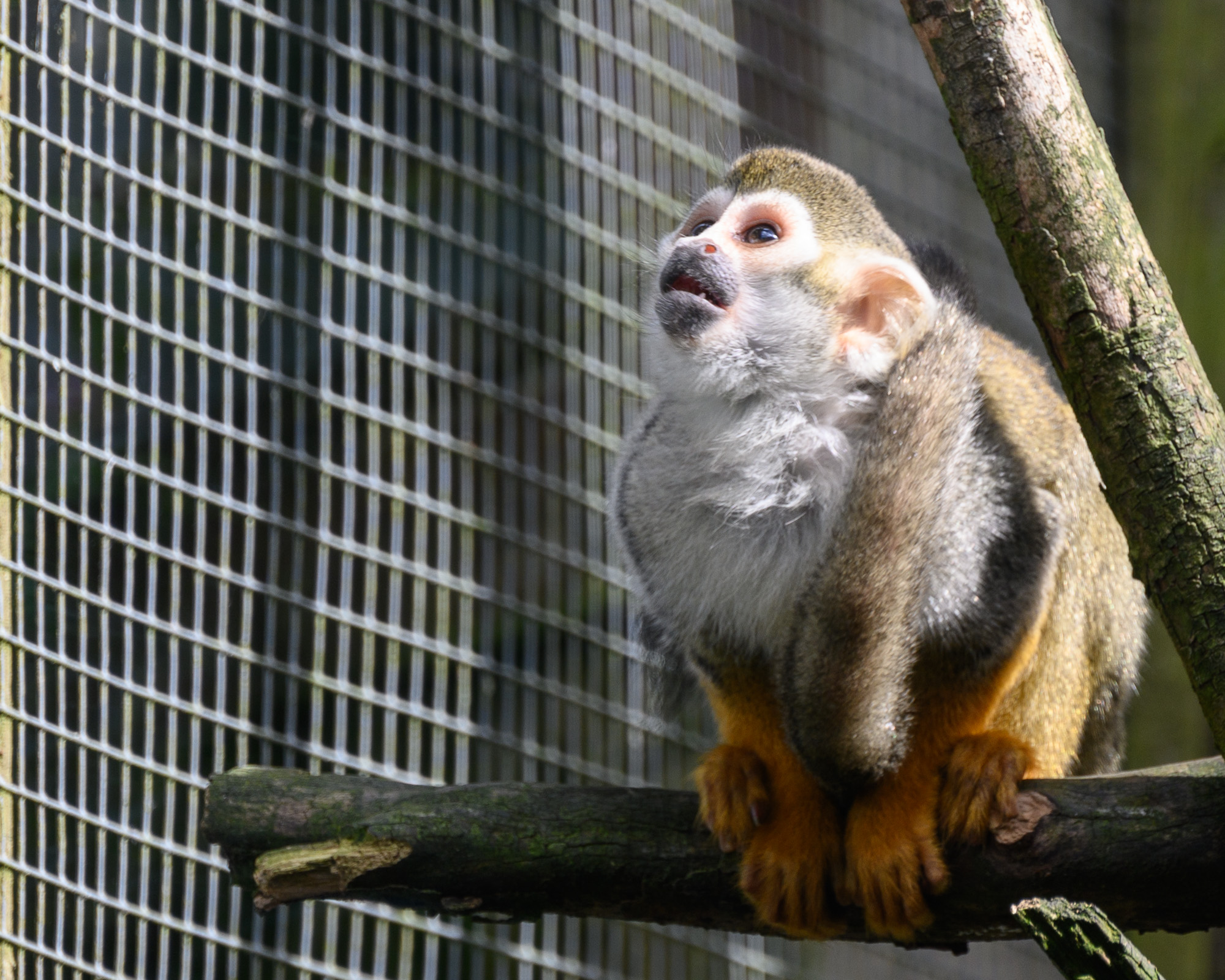 20240912ExmoorZoo0007.jpg