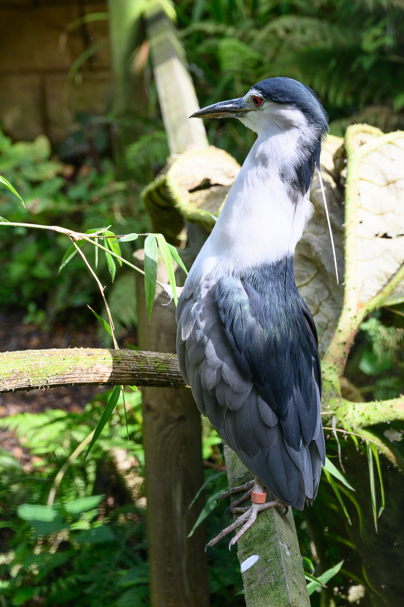 20240912ExmoorZoo0009.jpg
