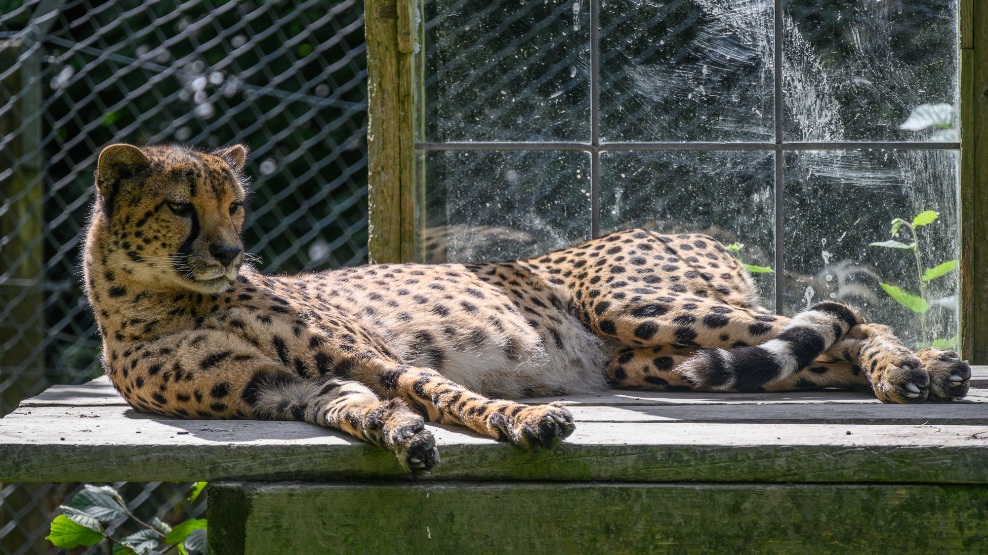 20240912ExmoorZoo0041.jpg