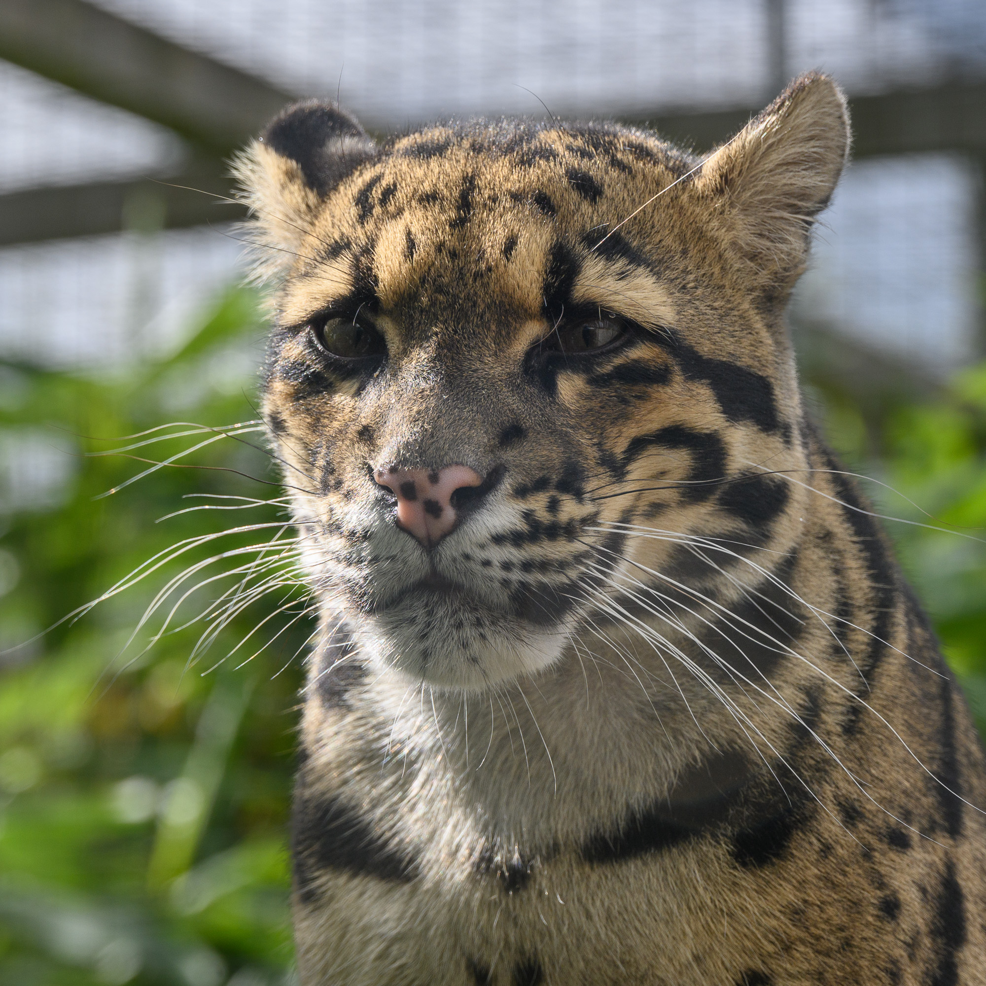 20240912ExmoorZoo0060.jpg