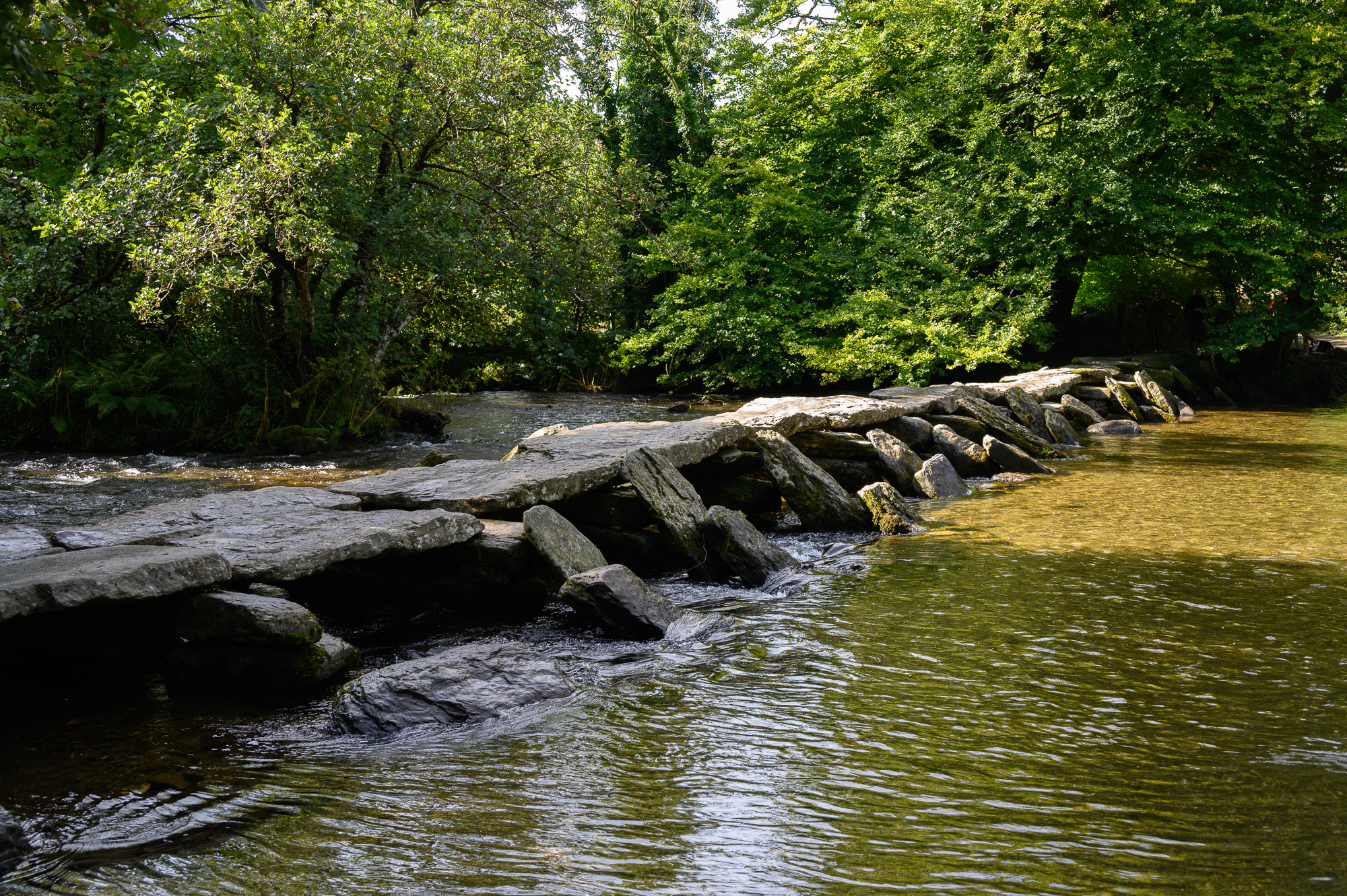 20240914Tarr-Steps0003.jpg