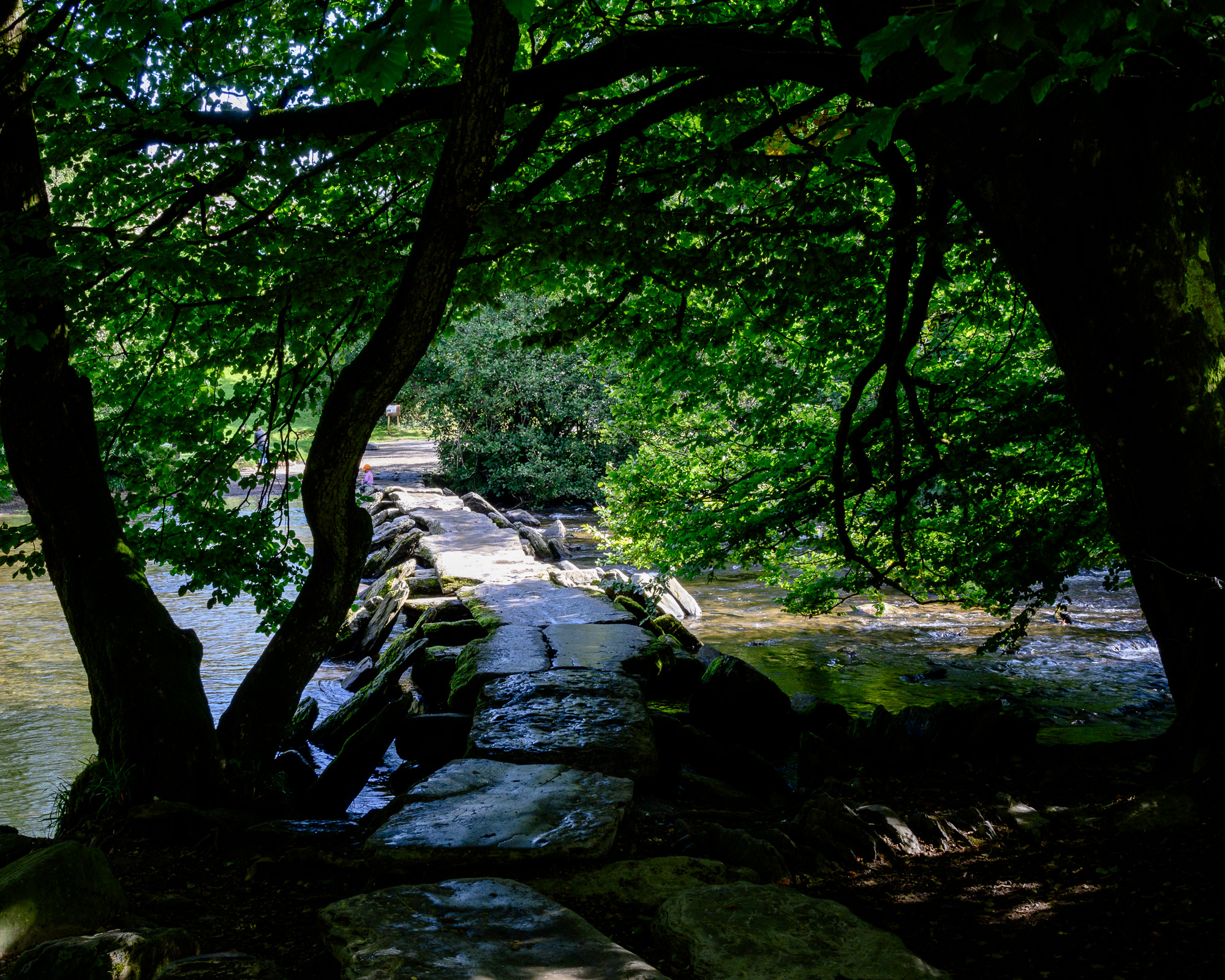20240914Tarr-Steps0014.jpg