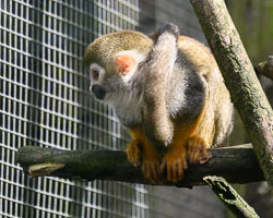 20240912ExmoorZoo0006.jpg