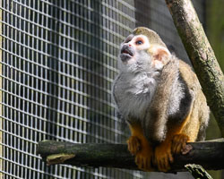 20240912ExmoorZoo0007.jpg