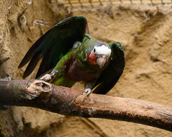 20240912ExmoorZoo0035.jpg