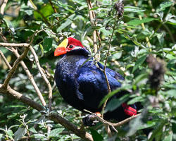 20240912ExmoorZoo0044.jpg