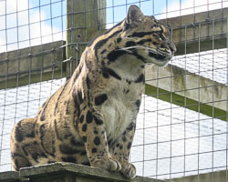 20240912ExmoorZoo0068.jpg