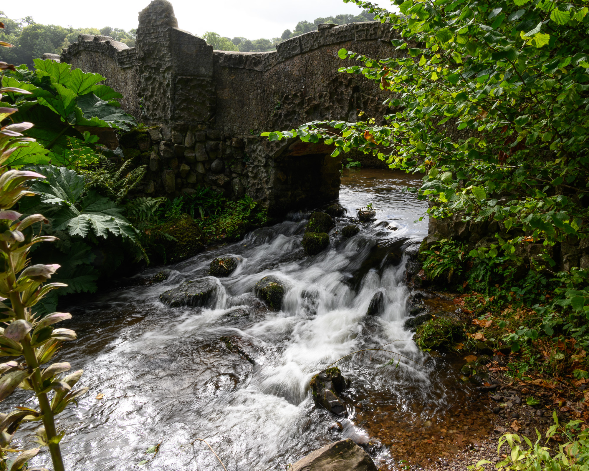 20240910DunsterCastle0002.jpg