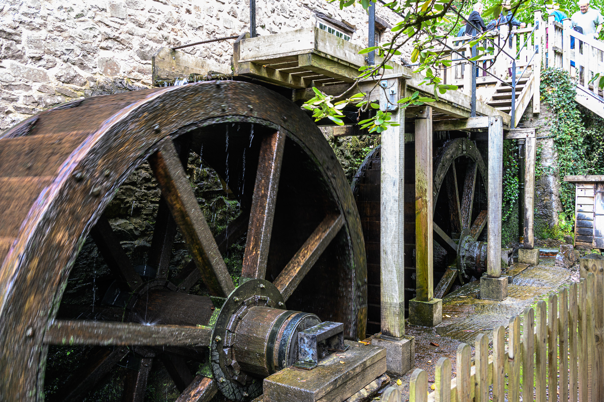 20240910DunsterCastle0004.jpg