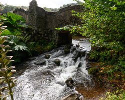 20240910DunsterCastle0002.jpg