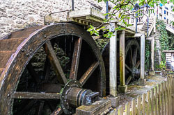 20240910DunsterCastle0004.jpg