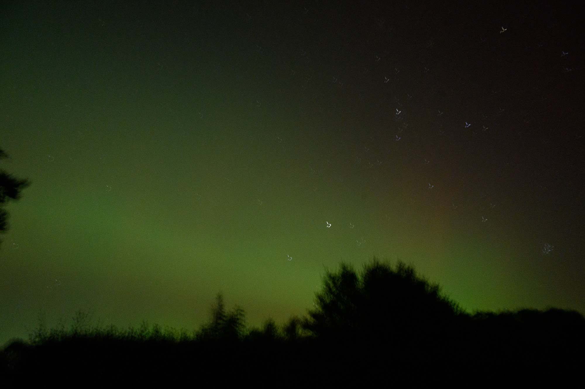 20241010Aurora0006.jpg