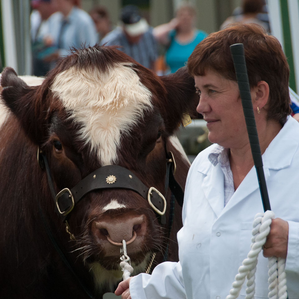 20120823Holsworthy-Show0038.jpg