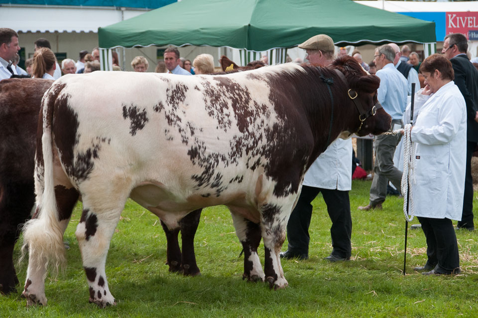 20120823Holsworthy-Show0042.jpg