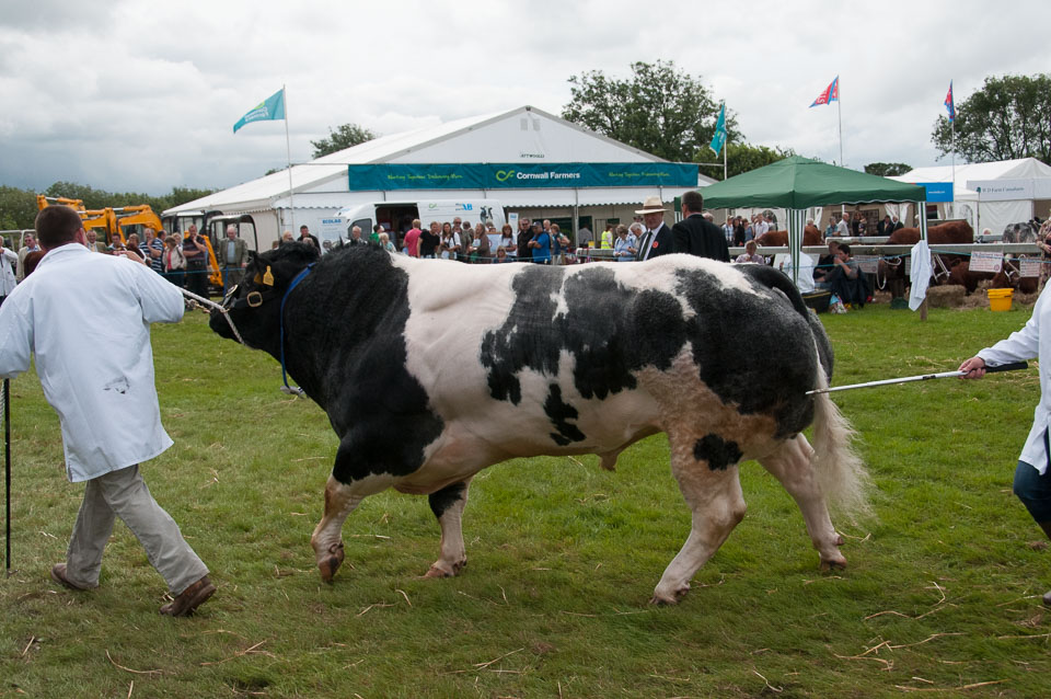 20120823Holsworthy-Show0050.jpg