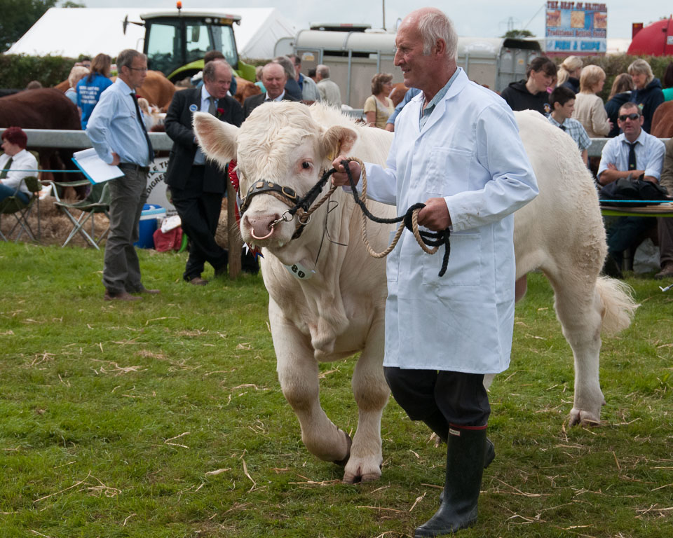 20120823Holsworthy-Show0051.jpg