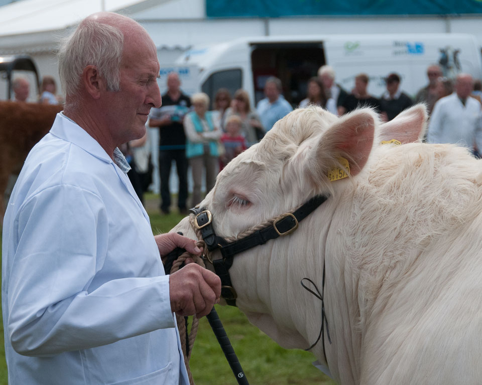 20120823Holsworthy-Show0064.jpg