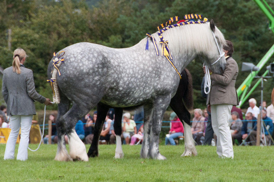 20120823Holsworthy-Show0069.jpg