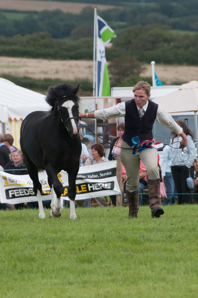 20120823Holsworthy-Show0073.jpg