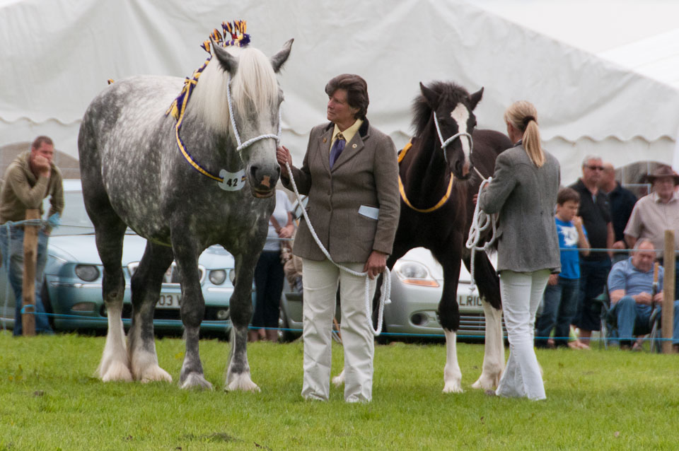 20120823Holsworthy-Show0089.jpg