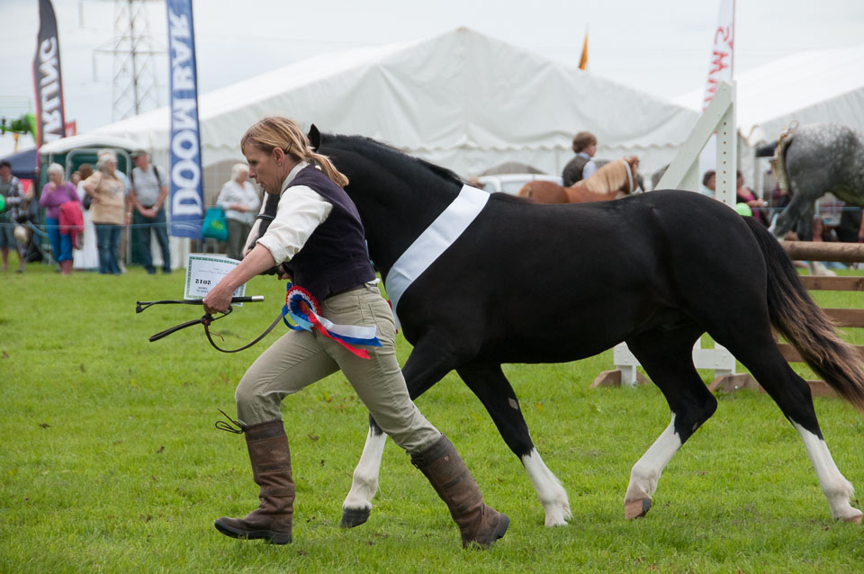 20120823Holsworthy-Show0096.jpg