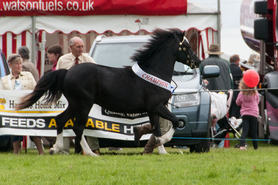 20120823Holsworthy-Show0100.jpg