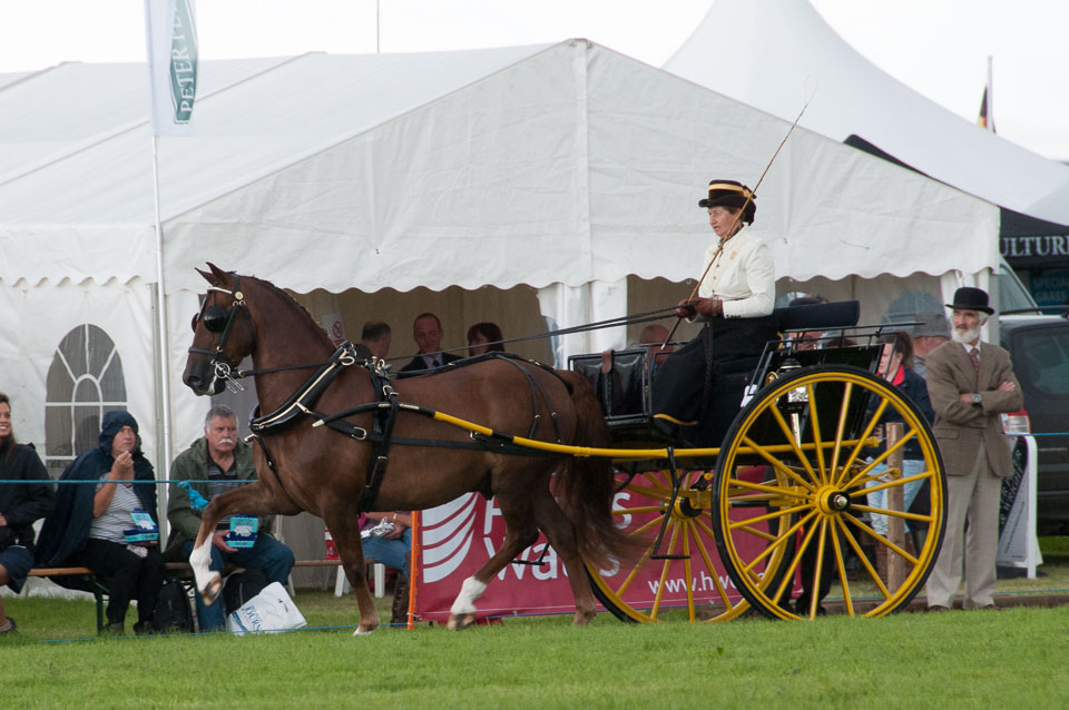 20120823Holsworthy-Show0128.jpg