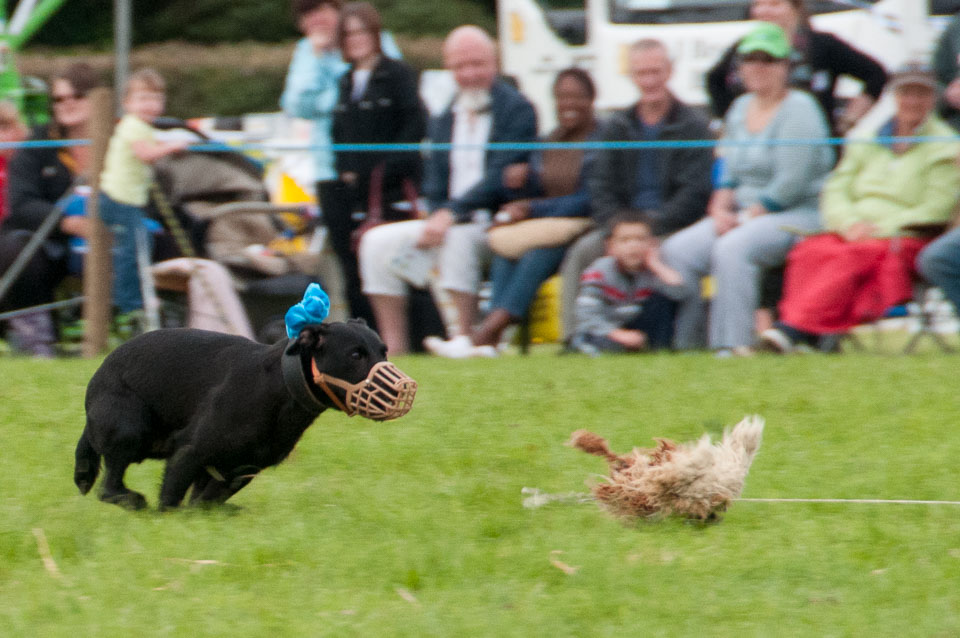 20120823Holsworthy-Show0178.jpg