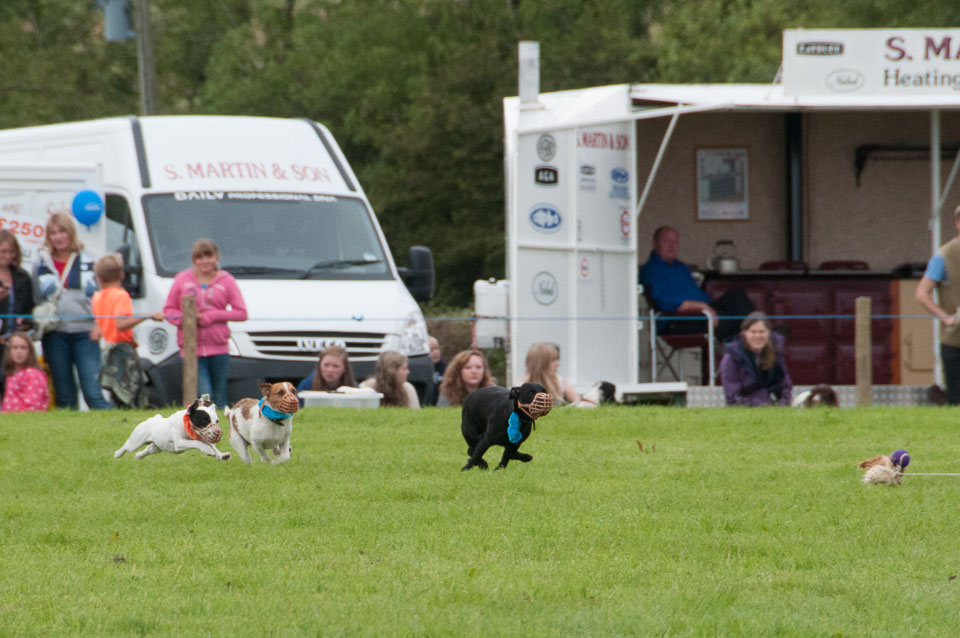 20120823Holsworthy-Show0191.jpg