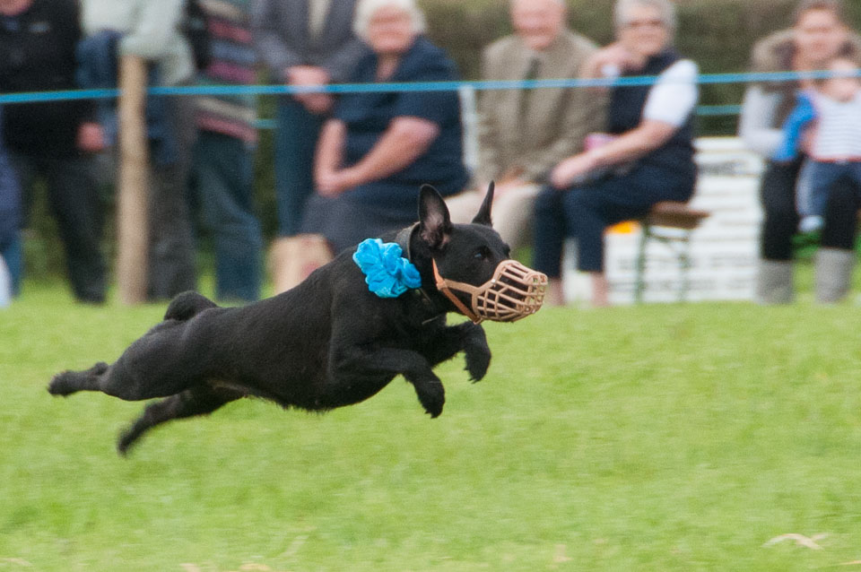 20120823Holsworthy-Show0197.jpg