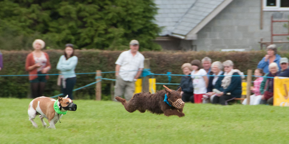 20120823Holsworthy-Show0221.jpg