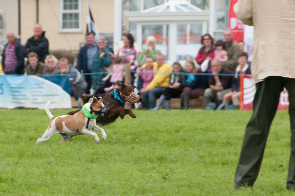 20120823Holsworthy-Show0227.jpg