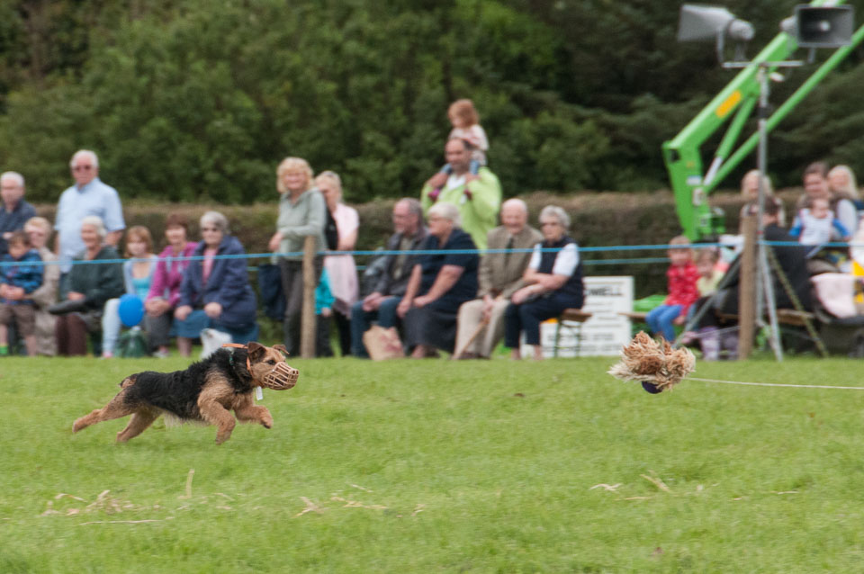 20120823Holsworthy-Show0230.jpg