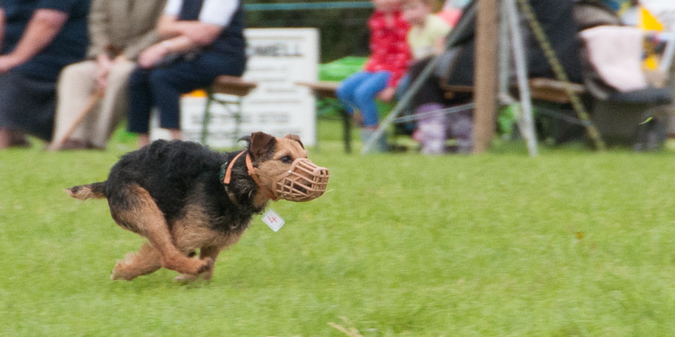 20120823Holsworthy-Show0231.jpg