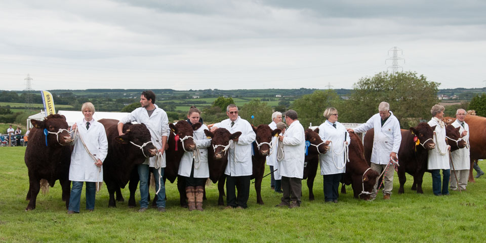 20120823Holsworthy-Show0255.jpg