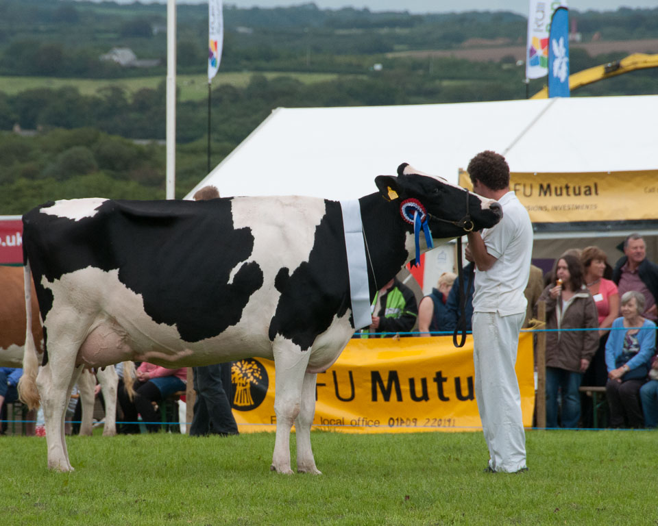 20120823Holsworthy-Show0257.jpg