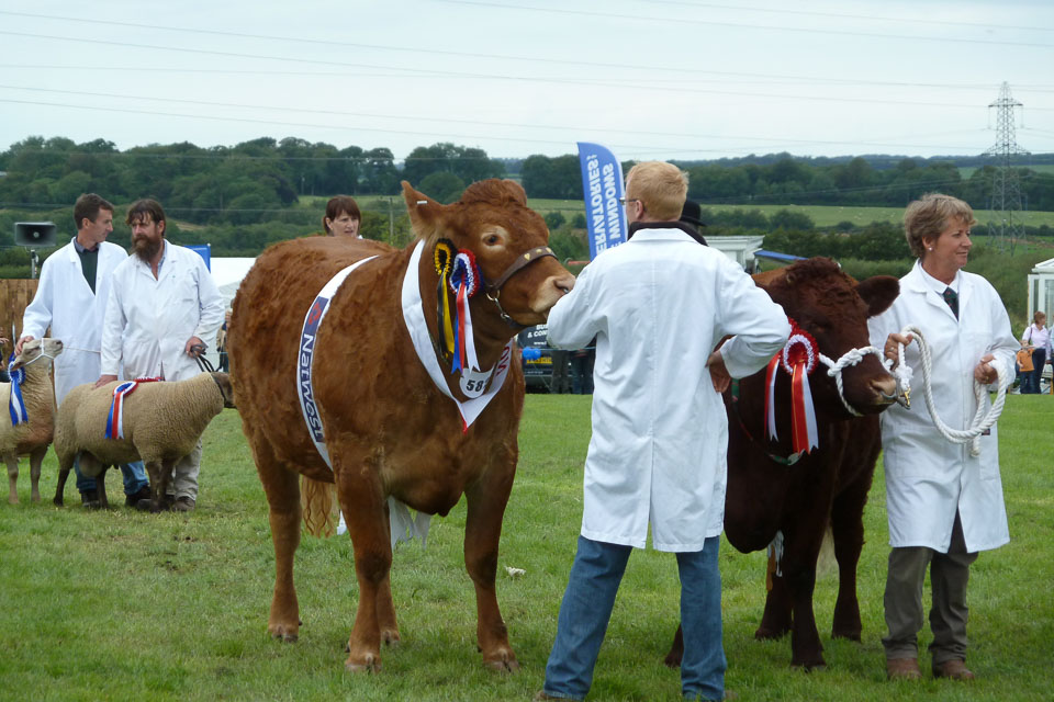 20120823Holsworthy-show0019.jpg