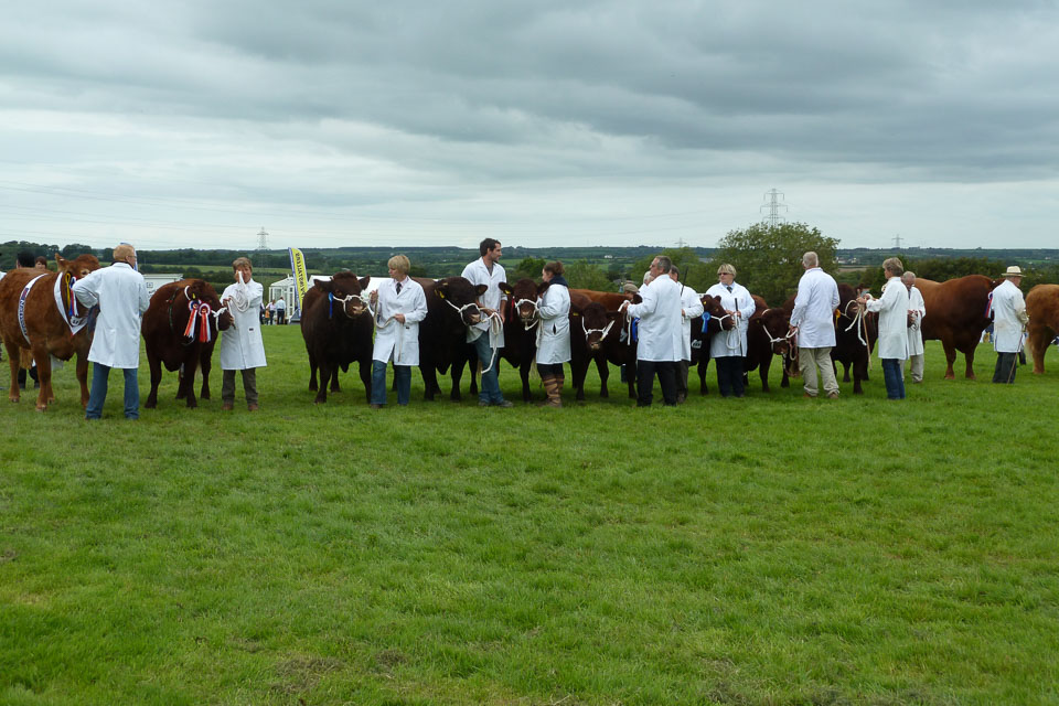 20120823Holsworthy-show0020.jpg