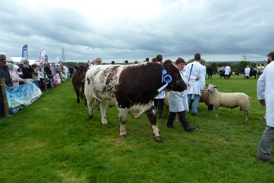 20120823Holsworthy-show0026.jpg