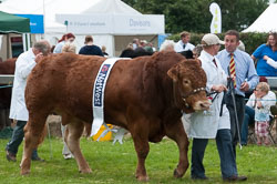 20120823Holsworthy-Show0044.jpg