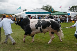 20120823Holsworthy-Show0050.jpg