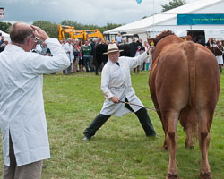 20120823Holsworthy-Show0060.jpg