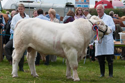 20120823Holsworthy-Show0062.jpg