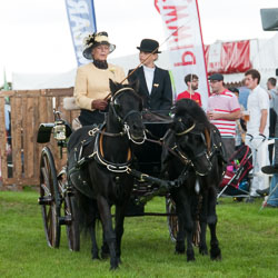 20120823Holsworthy-Show0114.jpg